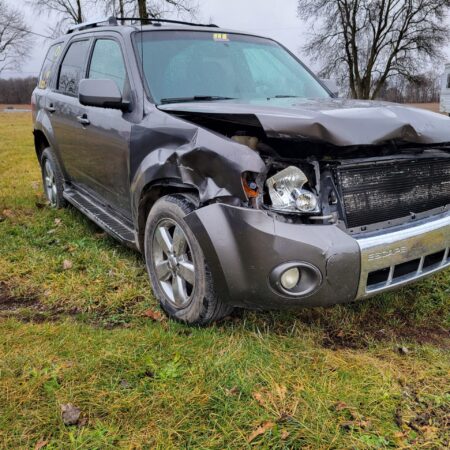 2011 Ford Escape Limited