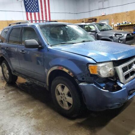 2010 Ford Escape XLT